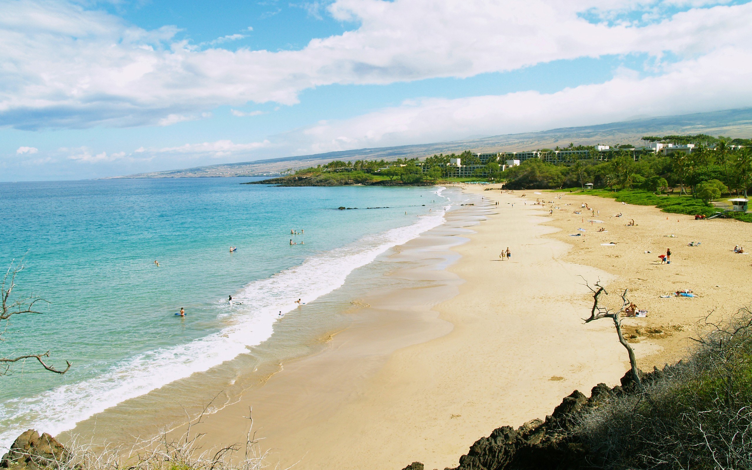 beach with turquoise water