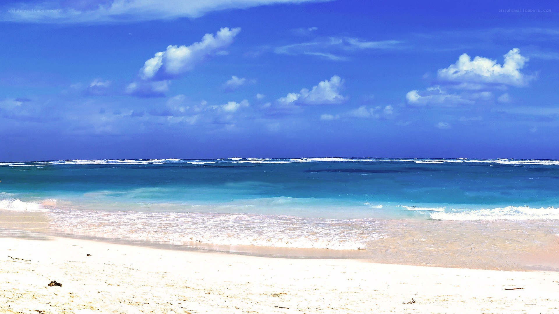 beach with turquoise water