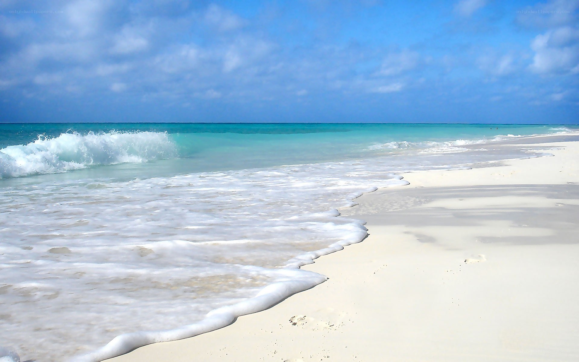 beach with turquoise water