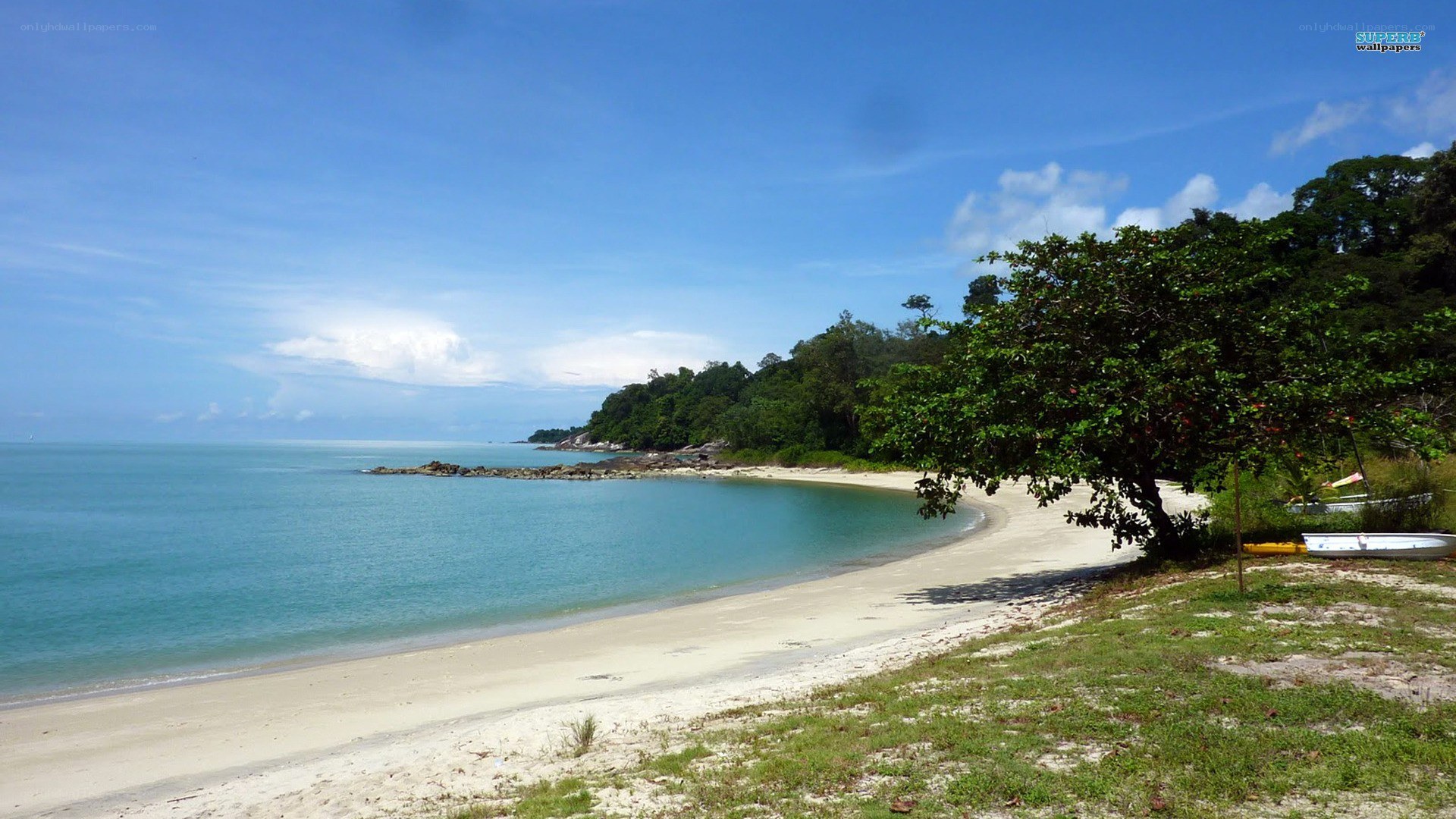 beach with turquoise water