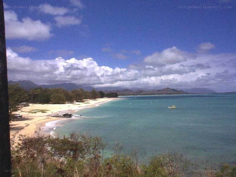 beach with turquoise water