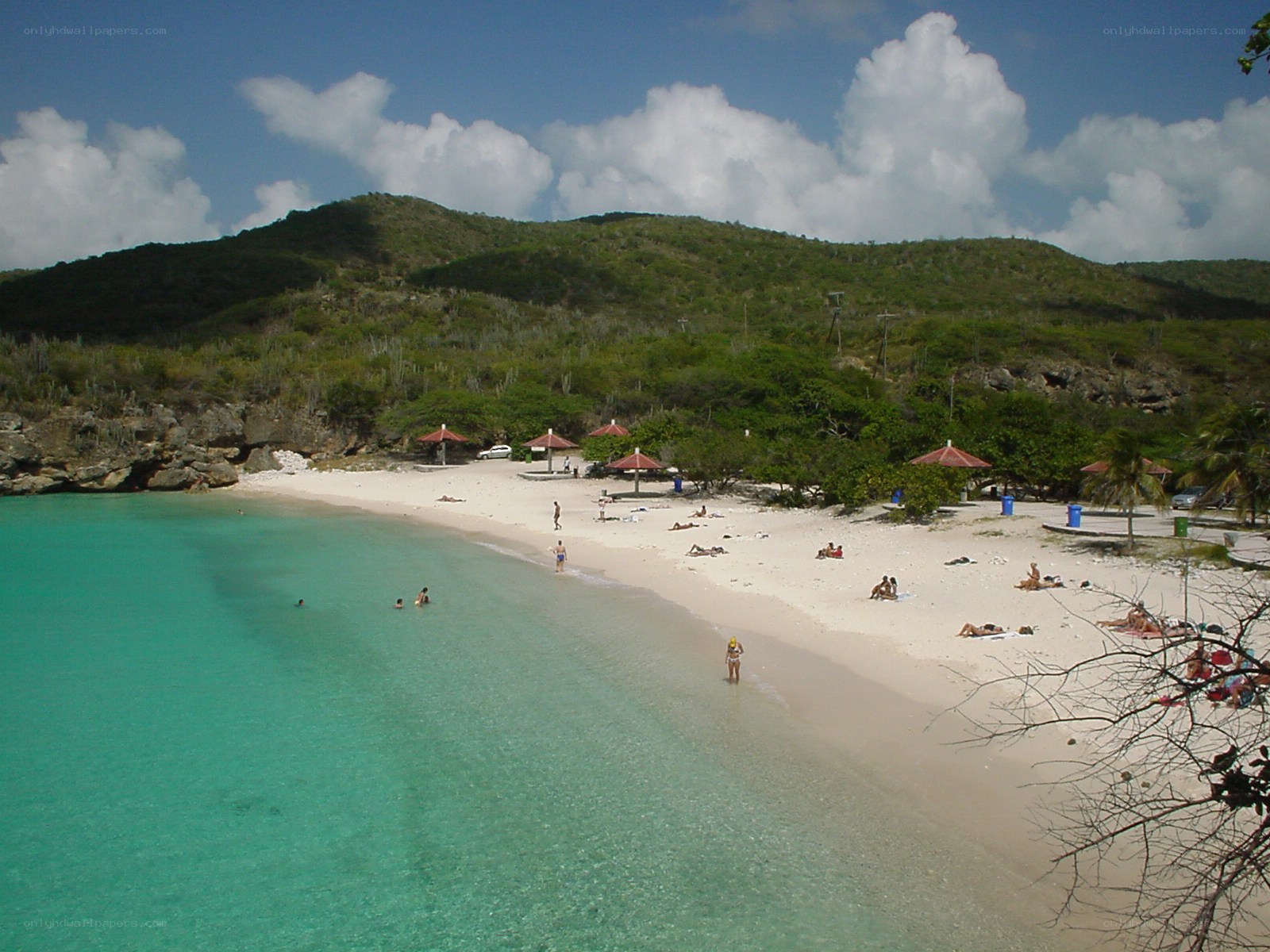 beach with turquoise water