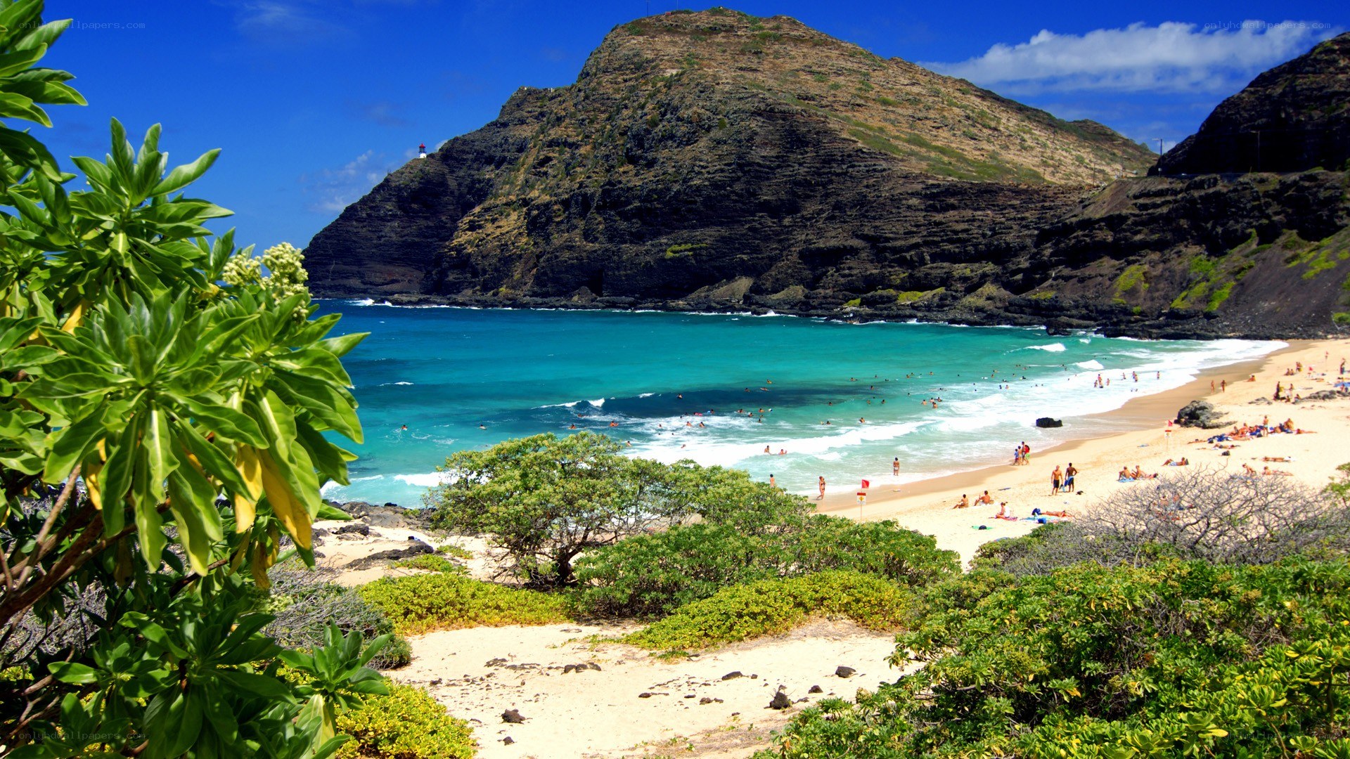 beach with turquoise water and rocky cliffs