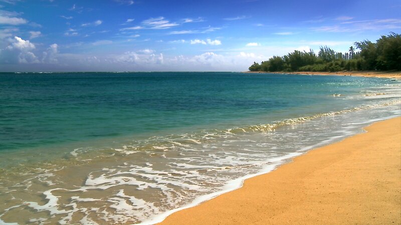 Beach with Turquoise Water — Blue, Serene, Afternoon, Photograph, Sand, Ocean, Trees, Green, Yellow