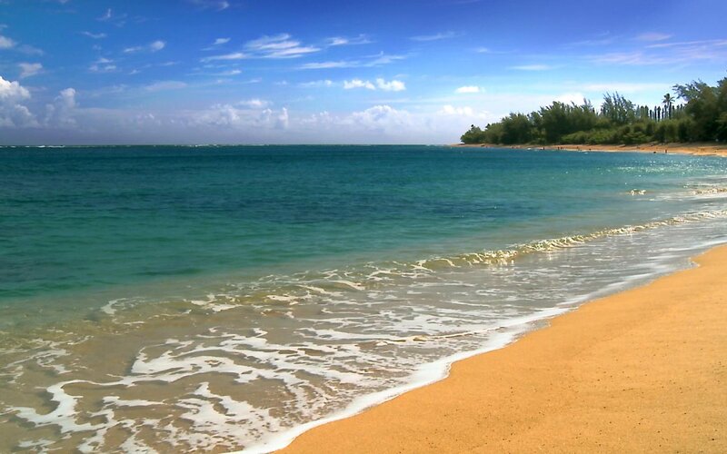 Beach with Turquoise Water — Blue, Serene, Afternoon, Photograph, Sand, Ocean, Trees