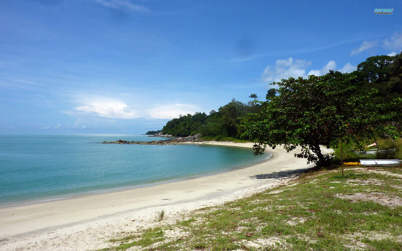 Beach with Turquoise Water — Blue, Serene, Afternoon, Photograph, Sand, Trees