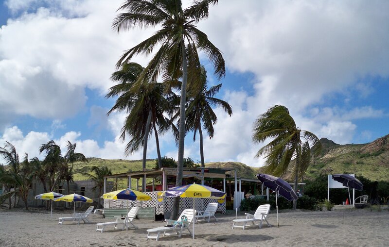 Beach with Umbrellas and Palm Trees — Blue
