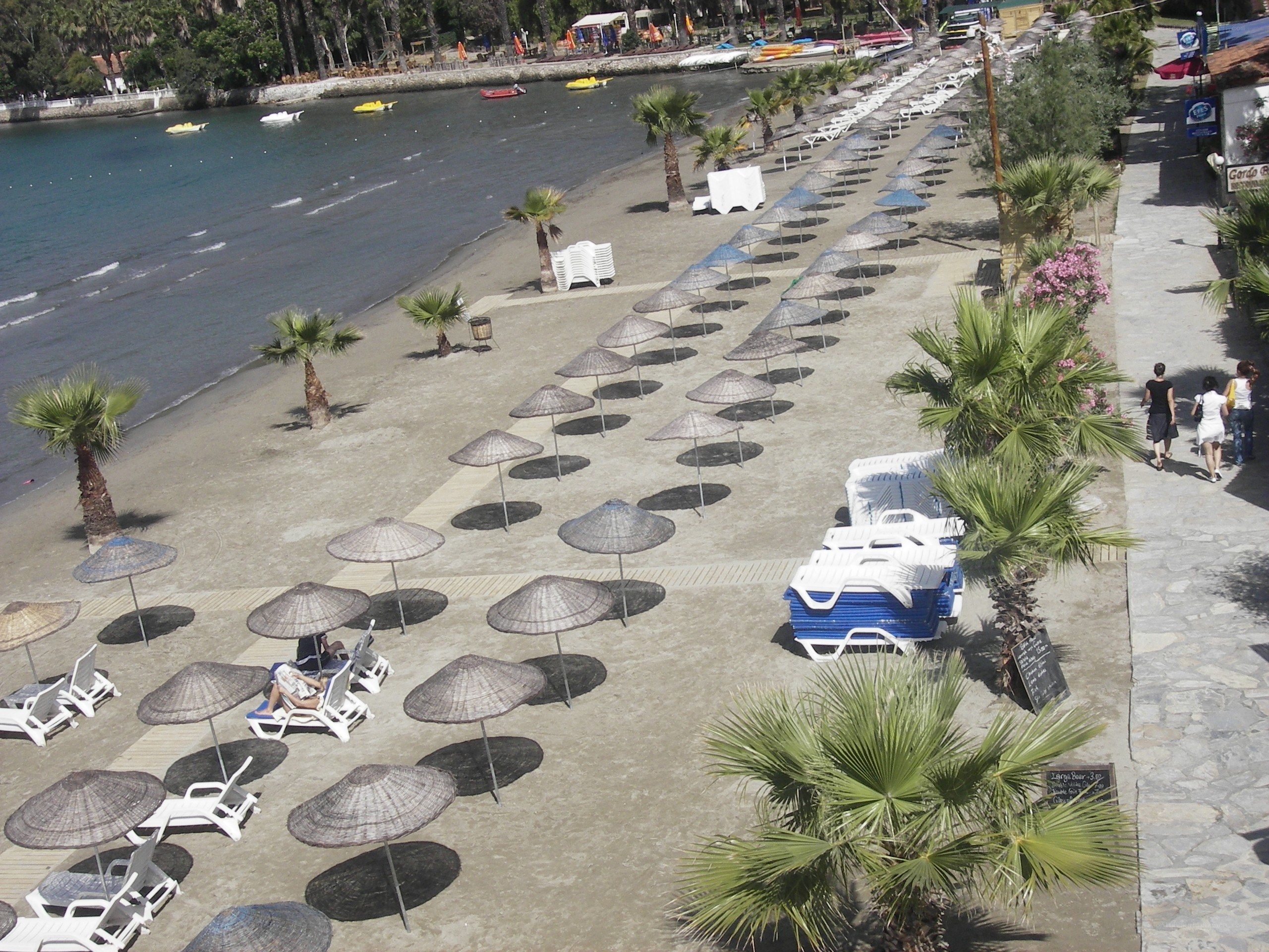 Beach with umbrellas and palm trees