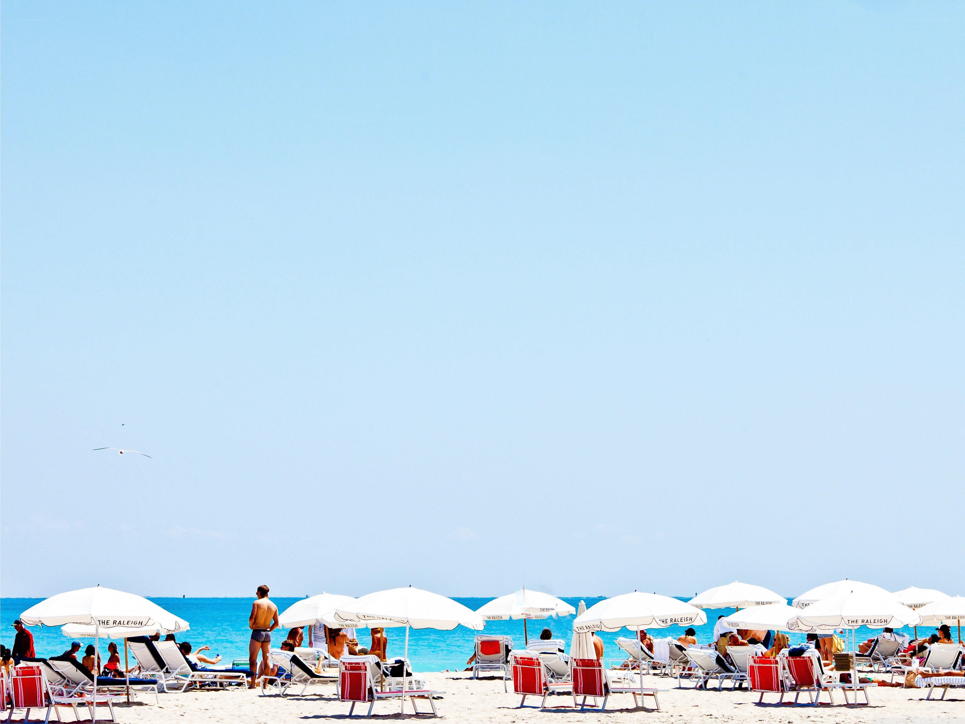 Beach with umbrellas and sunbathers