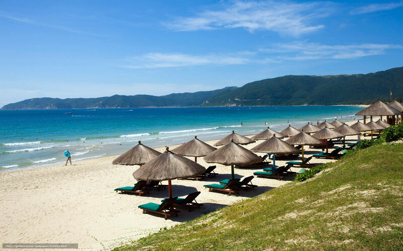Beach with Umbrellas — Blue, Serene, Afternoon, Photograph, Lounge Chairs