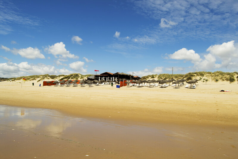 Beach with Umbrellas — Blue, Serene, Afternoon, Photograph, Sand Dunes