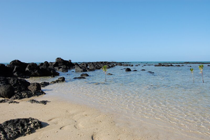 Beach with volcanic rocks