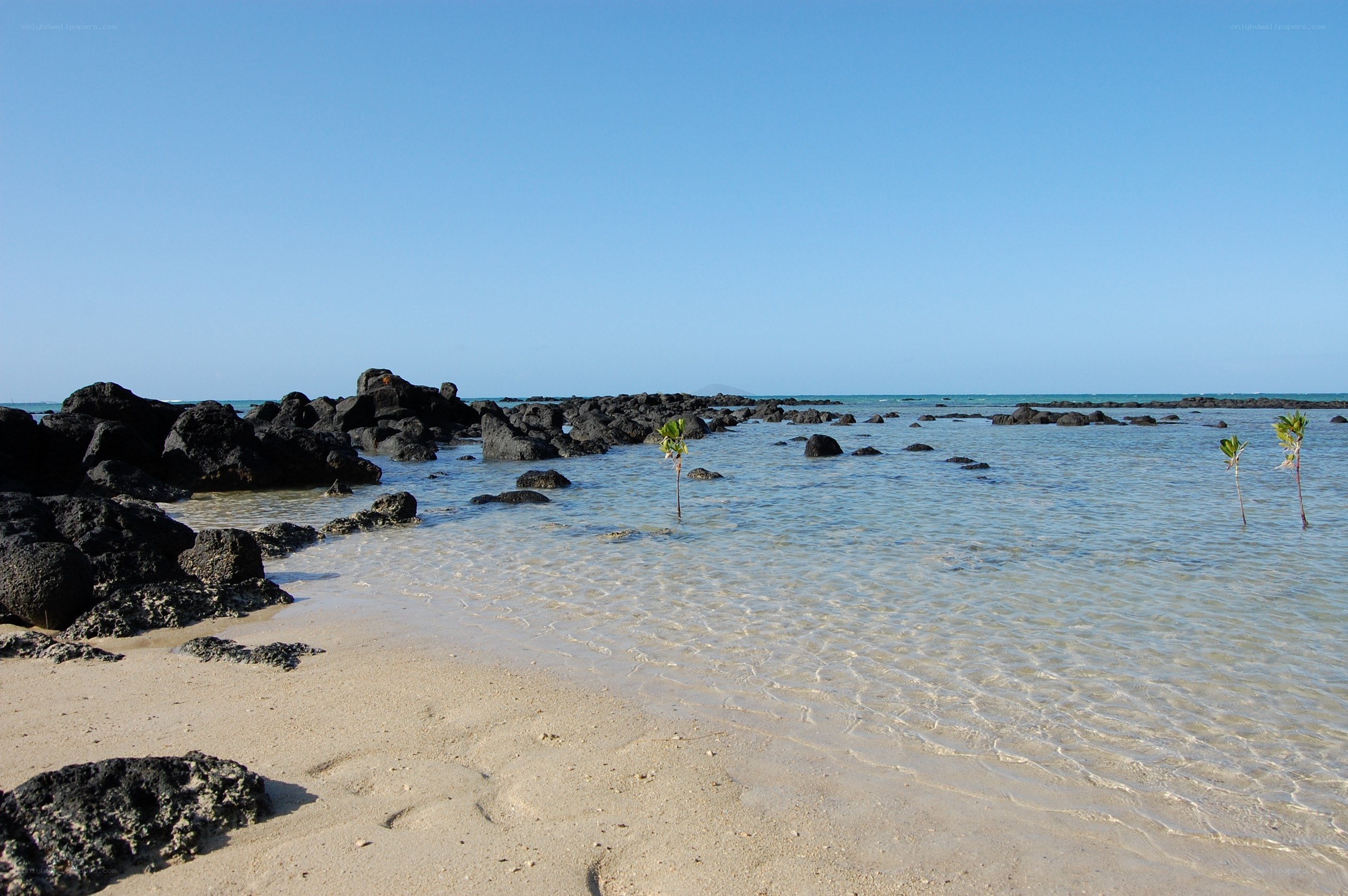 Beach with volcanic rocks