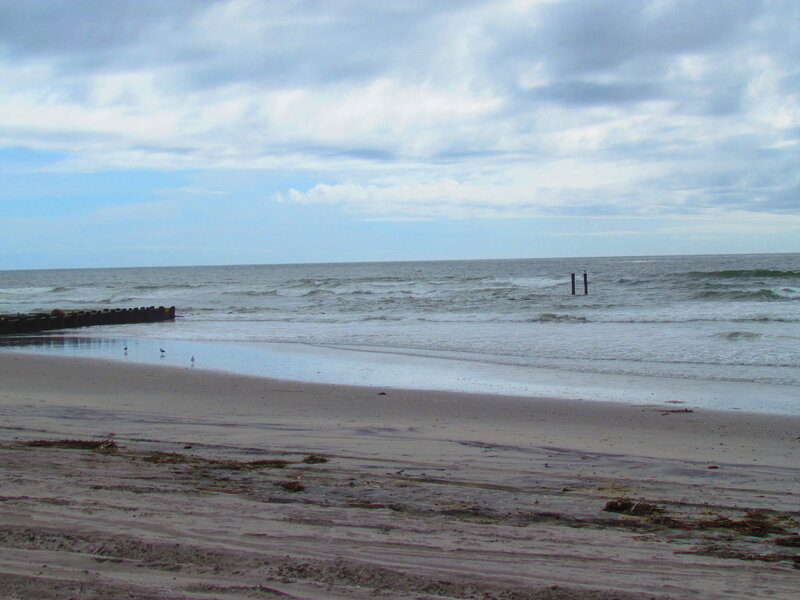 Beach with Waves and Birds