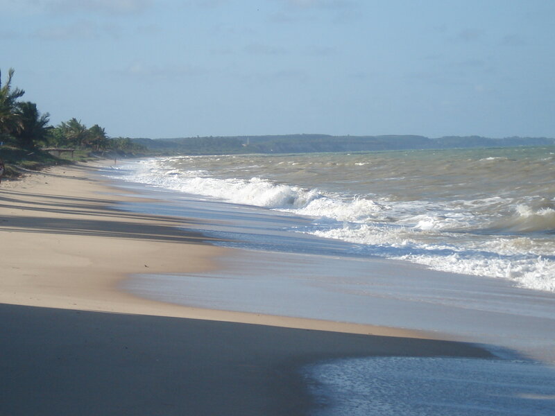 beach with waves and palm trees