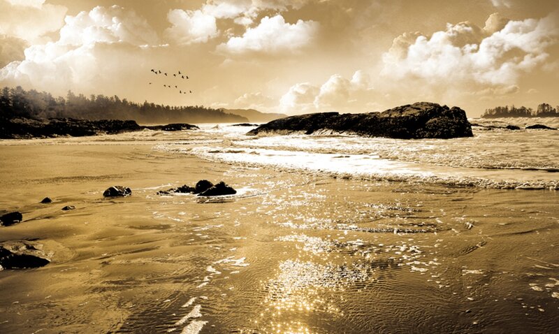 Beach with Waves and Rocks — Brown, Serene