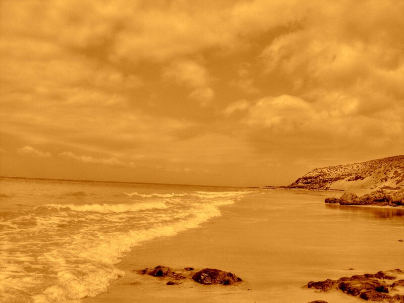 Beach with Waves and Rocks — Brown