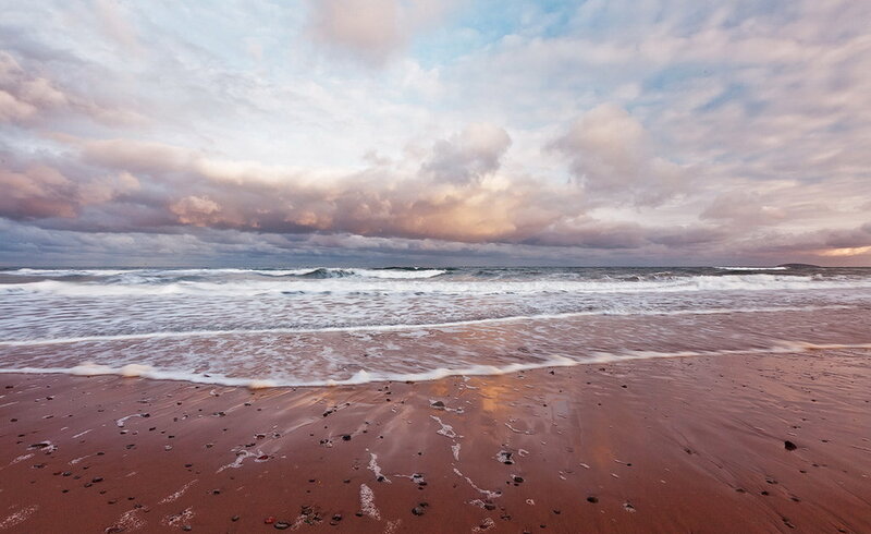 Beach with Waves — Brown