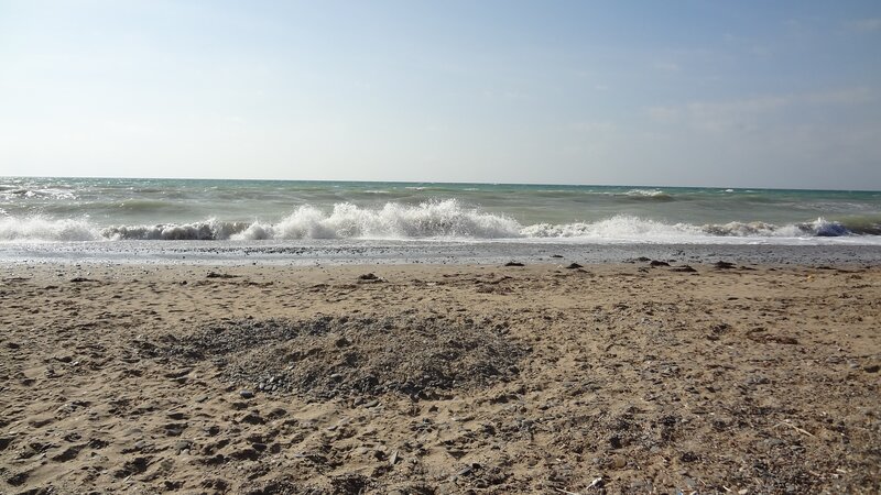 beach with waves crashing