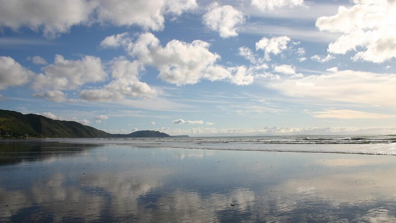 Beach with Wet Sand — Blue, Serene, Afternoon