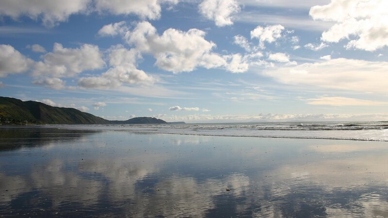 Beach with Wet Sand — Blue