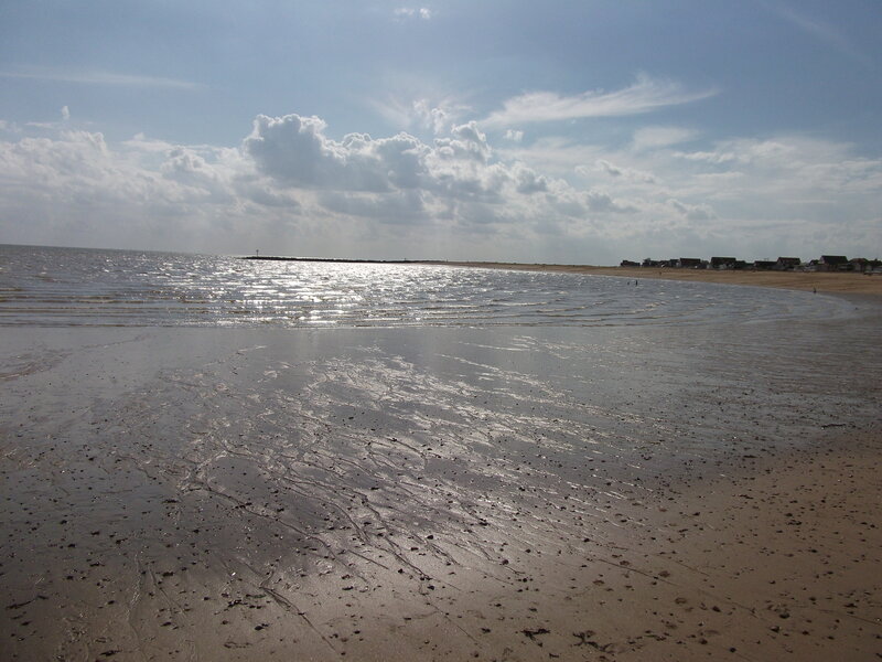Beach with Wet Sand