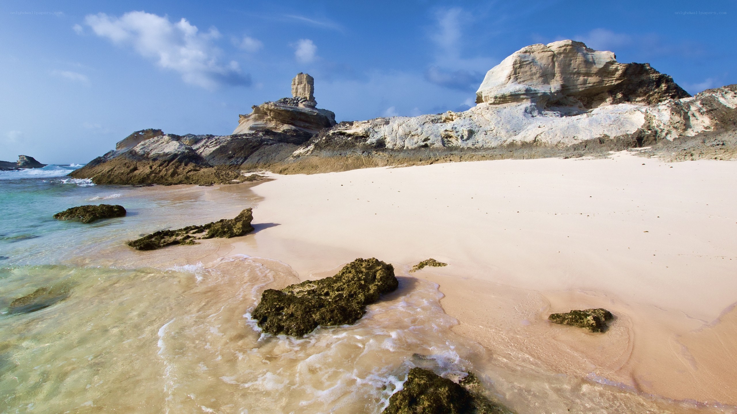 beach with white rock formations
