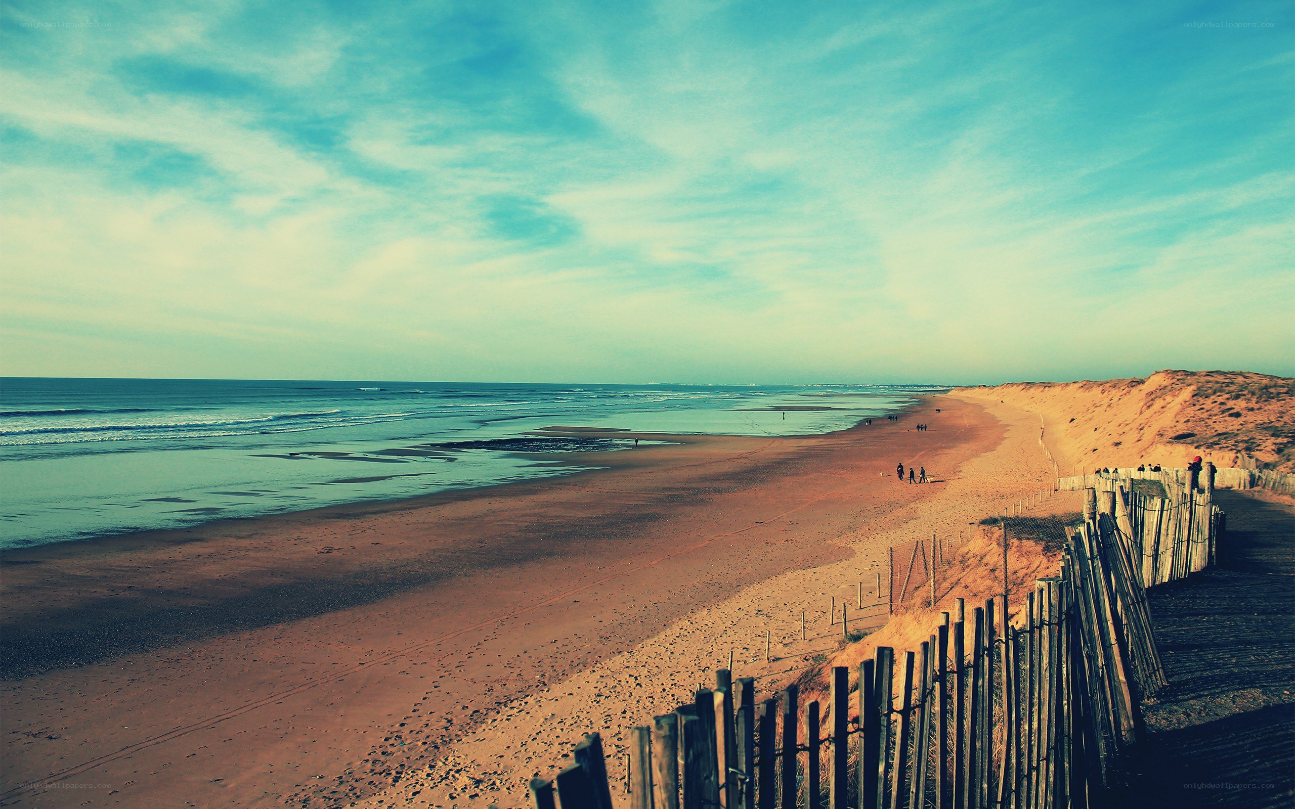 beach with wooden fence