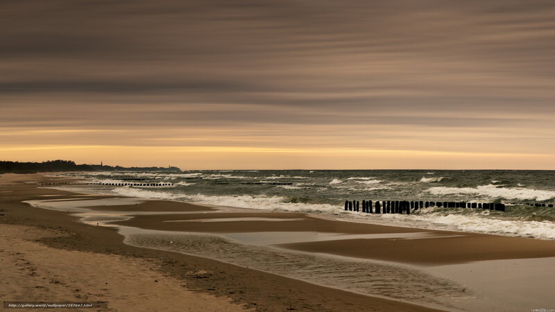 Beach with Wooden Groynes — Brown