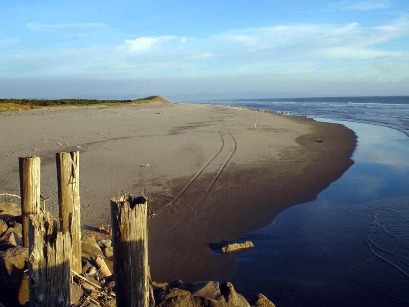 Beach with wooden posts