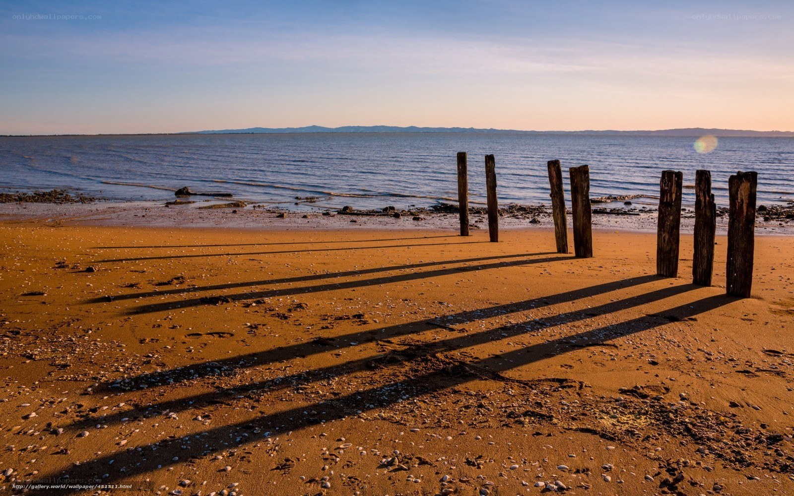Beach with wooden posts at sunset