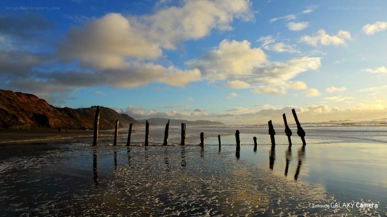 Beach with wooden posts at sunset