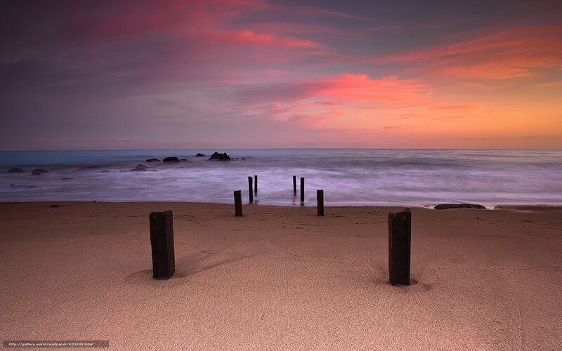 Beach with Wooden Posts — Pink