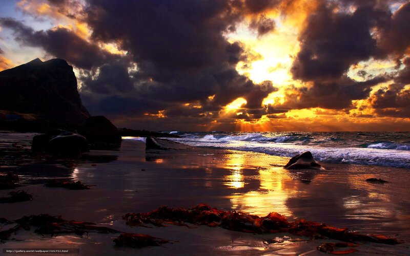 Beached Whale at Sunset