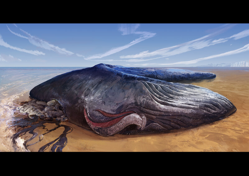 Beached Whale Carcass