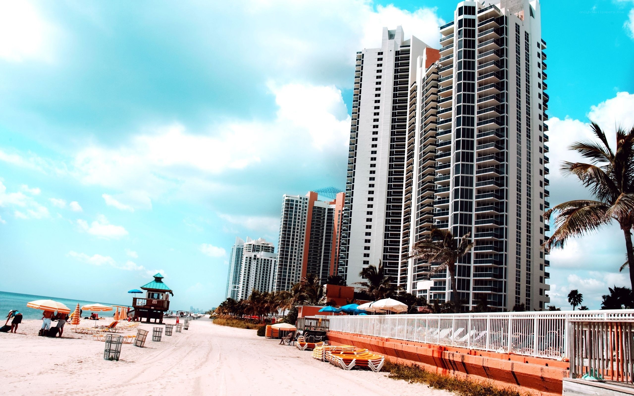 Beachfront high-rises in Miami