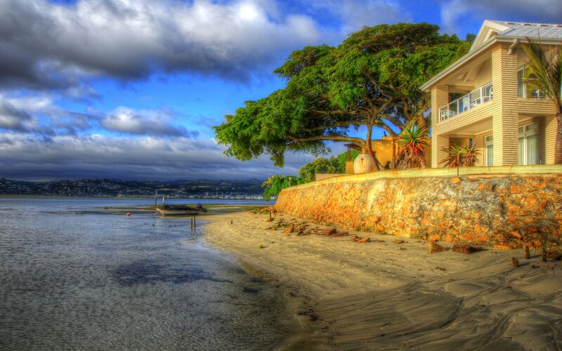 Beachside house with tree