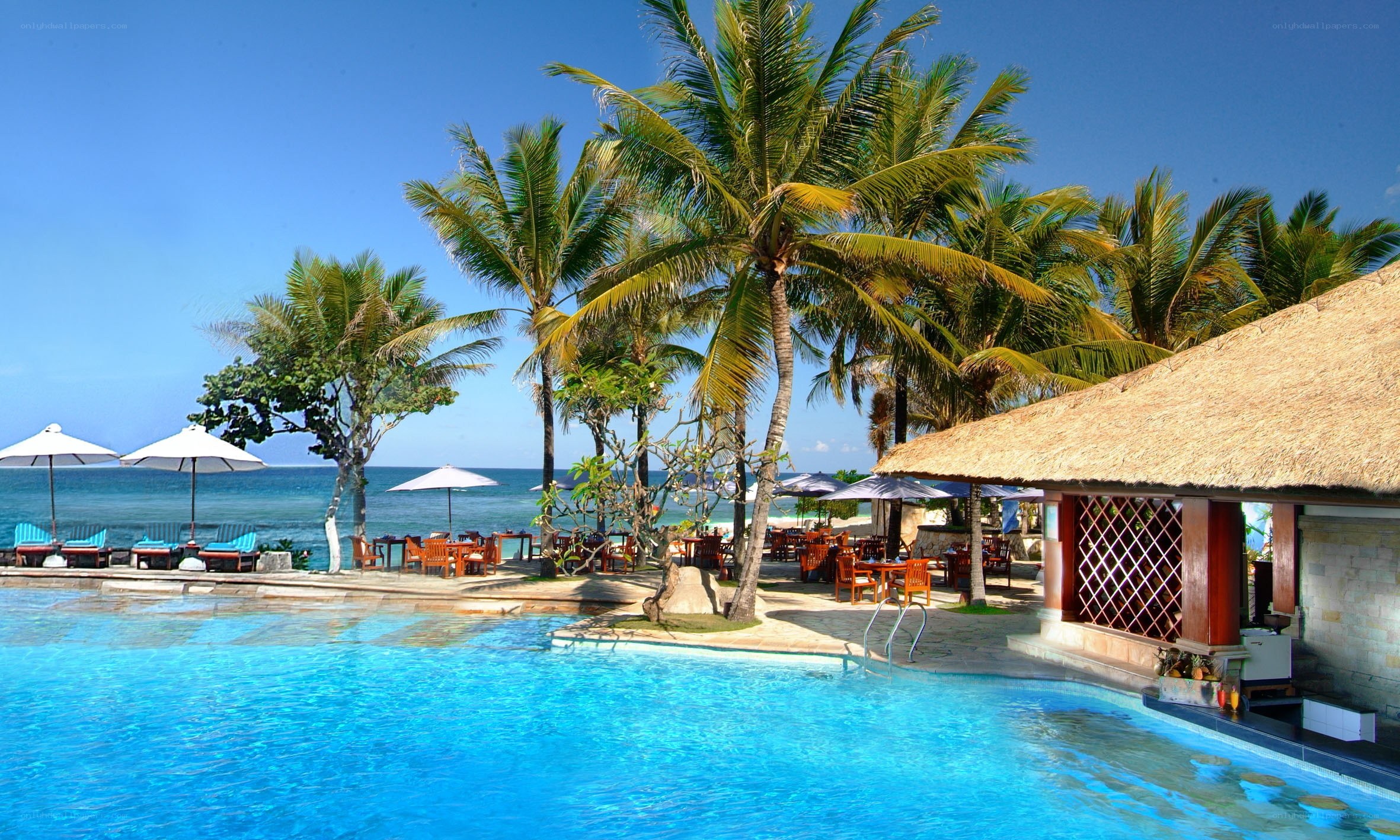 Beachside resort with pool and palm trees