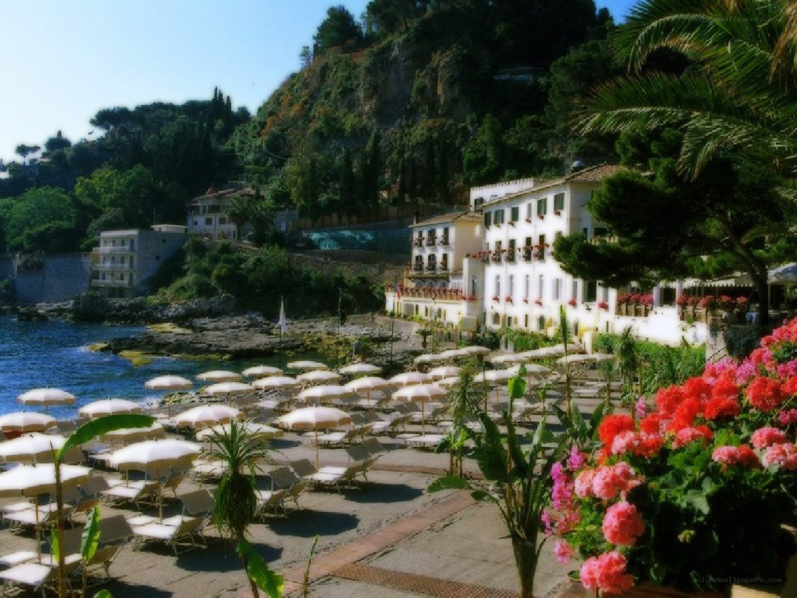 Beachside resort with umbrellas