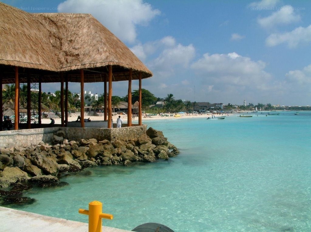 Beachside thatched pavilion