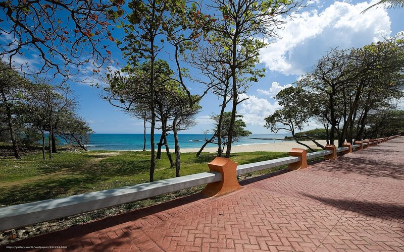 Beachside walkway with ocean view