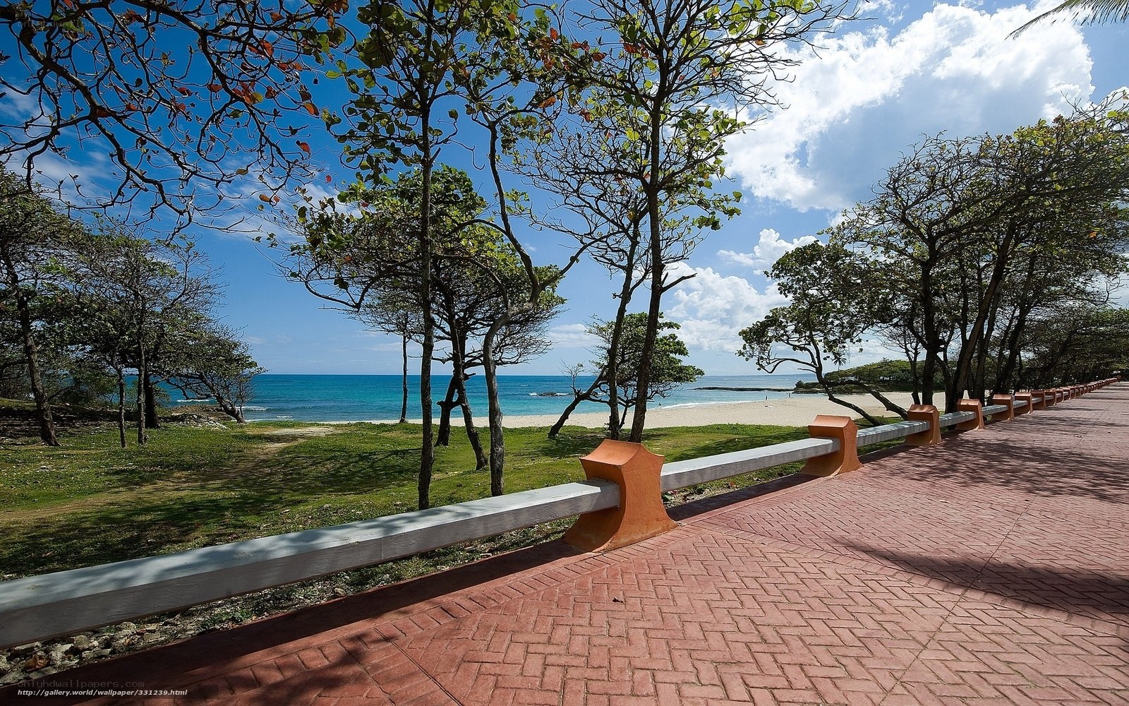 Beachside walkway with ocean view