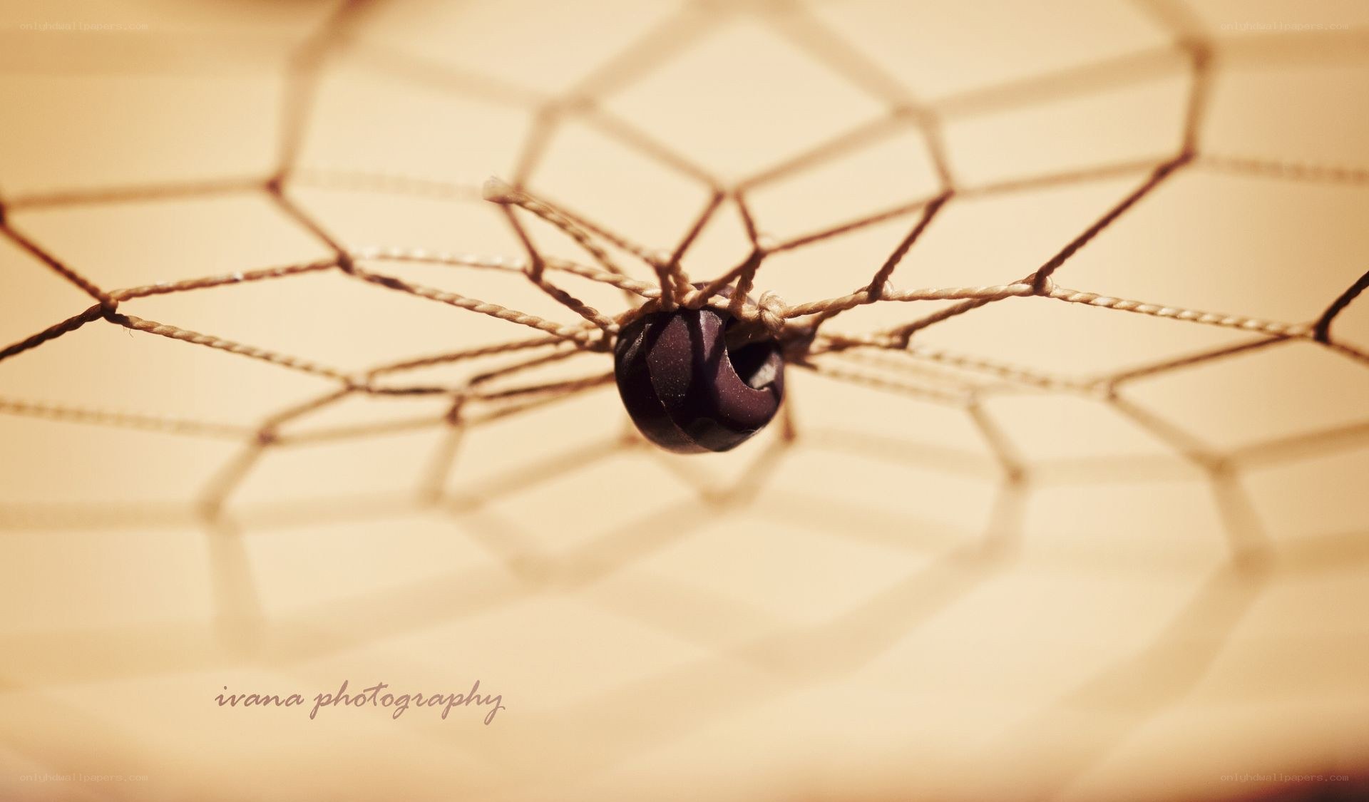 bead on a net