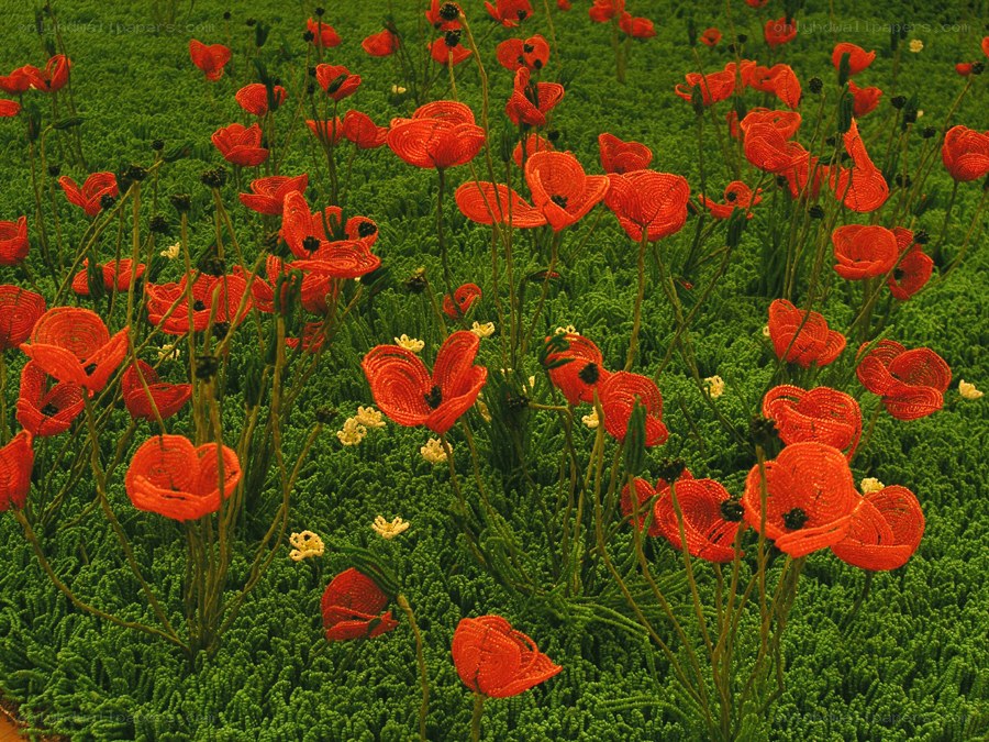 beaded poppy field art