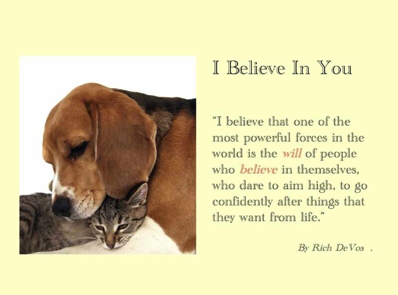 Beagle and Cat