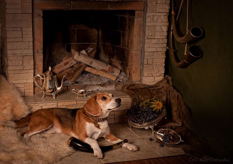 Beagle Dog by Fireplace