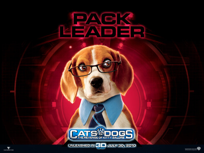 Beagle Dog with Glasses
