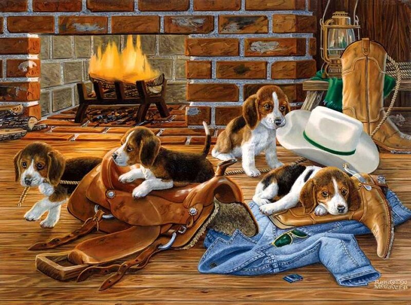 Beagle Puppies in Cabin
