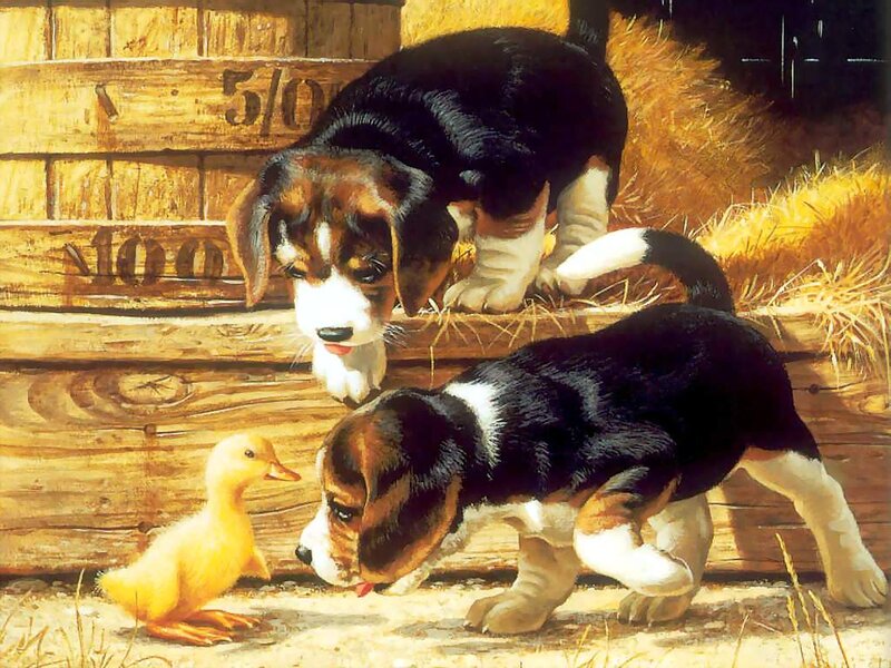 Beagle Puppies with Duck