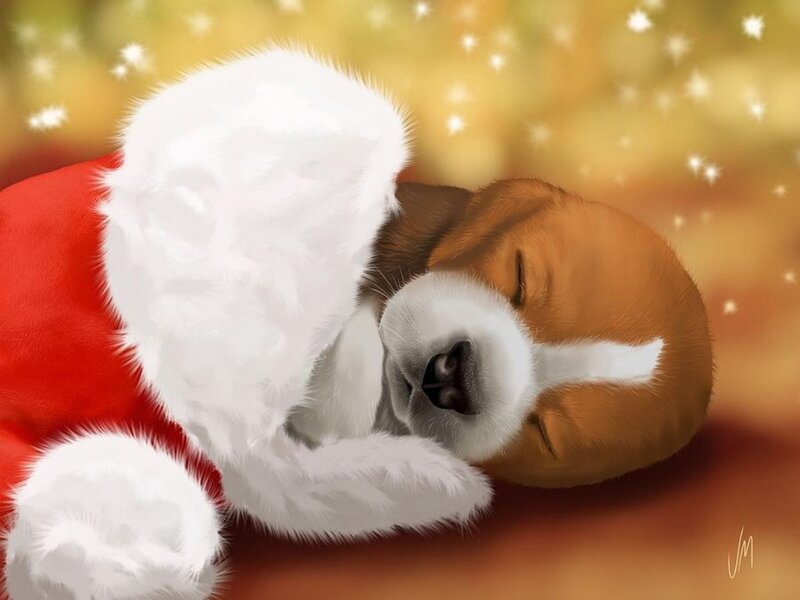 Beagle Puppy Sleeping — Red, Peaceful, Winter